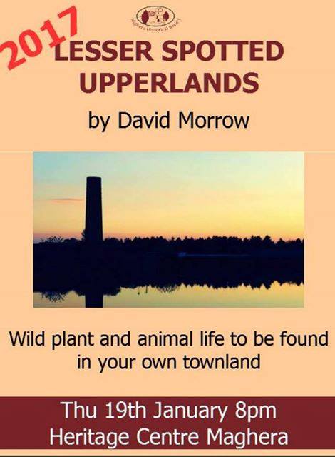 Lesser Spotted Upperlands