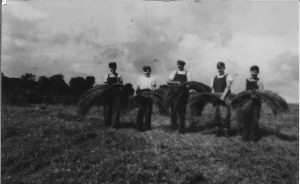 The Linton family pulling flax in Maghera