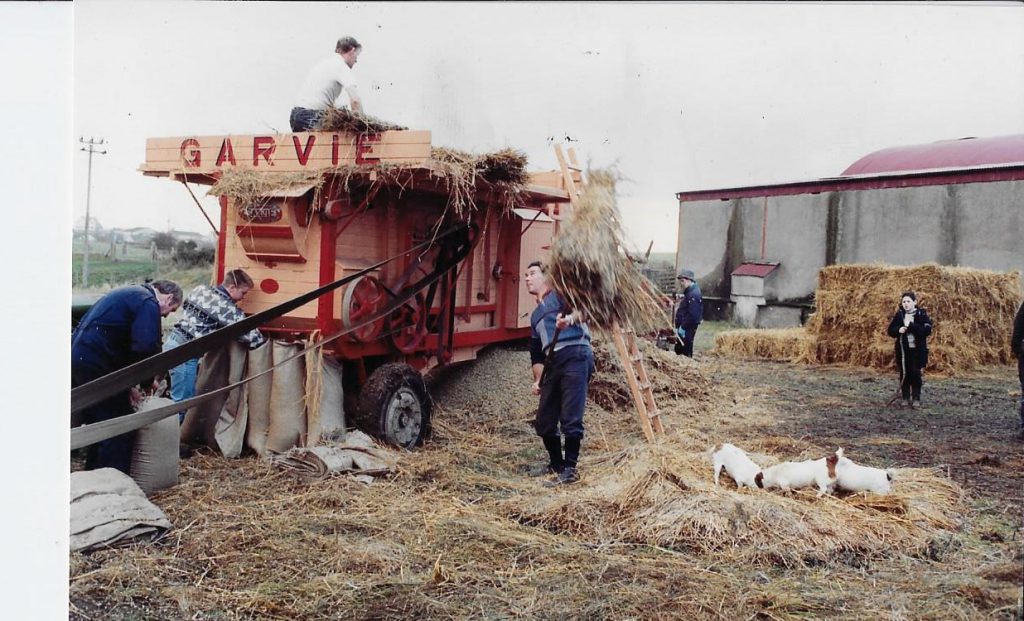 Threshing the corn